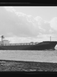 Schwarz-weiße Aufnahme eines langen Containerschiffs in Seitenansicht, das nahe der Küste auf ruhiger See unter einem wolkenverhangenen Himmel fährt.