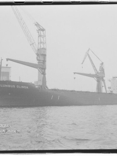 Schwarzweiß-Foto eines Frachtschiffs mit der Aufschrift COLUMBUS OLINDA, am Kai mit zwei großen Ladekränen, ruhigem Wasser im Vordergrund und Wasserzeichen des Internationalen Maritimen Museums Hamburg unten links.