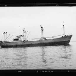 Schwarzweiß-Foto eines Frachtschiffs mit mehreren Ladebäumen und Aufbauten, das ruhig auf dem Wasser vor einem flachen Horizont liegt; unten links das Logo des Internationalen Maritimen Museums Hamburg.