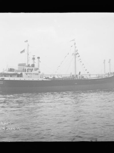 Schwarzweiß-Seitenansicht eines mit Signalfahnen geschmückten Frachtschiffs auf ruhigem Wasser, mit nebliger Küstenlinie im Hintergrund und kleinem Schleppboot am Heck.