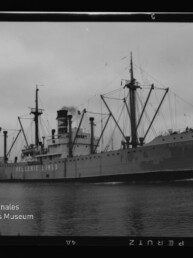 Schwarzweiß-Foto eines Hellenic Lines Frachtschiffs mit markantem Schornstein, Ladekränen und Masten, das ruhig auf dem Wasser an einer flachen Küstenlinie vorbeifährt; Filmbildrand und Wasserzeichen des Internationalen Maritimen Museums Hamburg sichtbar.