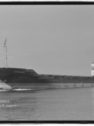 Schwarzweiß-Foto eines Frachtschiffs mit dem Namen CONCORDIA in Seitenansicht auf ruhigem Wasser, mit mehrstöckigem Brückenhaus am Heck und Museumslogo unten links (Internationales Maritimes Museum Hamburg).