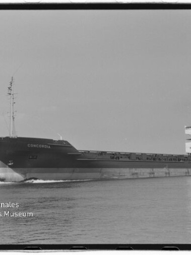 Schwarzweiß-Foto eines Frachtschiffs mit dem Namen CONCORDIA in Seitenansicht auf ruhigem Wasser, mit mehrstöckigem Brückenhaus am Heck und Museumslogo unten links (Internationales Maritimes Museum Hamburg).