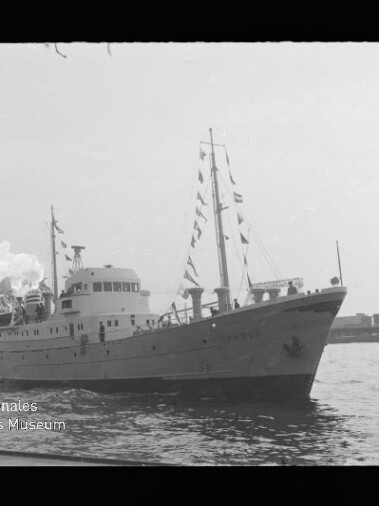 Mittelgroßes weißes Schiff mit beflaggtetem Mast und Rauch aus dem Schornstein fährt auf ruhigem Hafenwasser, im Hintergrund Uferbebauung; links unten Wasserzeichen des Internationalen Maritimen Museums Hamburg.