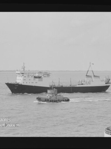 Schwarzweißfoto eines großen Frachtschiffs auf ruhiger See mit einem kleineren Schlepper voraus; im Vordergrund rechts ist ein Schiffsrumpf sichtbar und unten links das Logo des Internationalen Maritimen Museums Hamburg.
