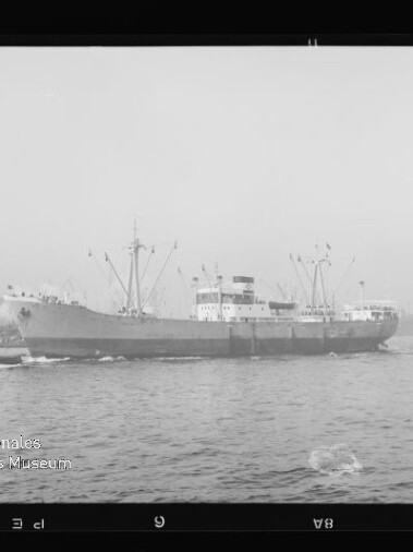 Schwarzweiß-Foto eines Frachtschiffs mit Ladekränen, begleitet von einem Schlepper im Hafen bei Nebel; im Vordergrund Wasser und links unten das Logo des Internationalen Maritimen Museums Hamburg.