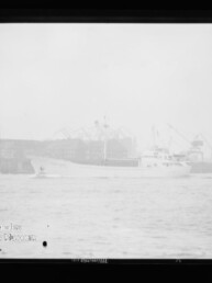Weißes Frachtschiff fährt auf ruhigem Wasser vor nebligem Industriehafen mit Hafenkränen; links unten sichtbar das Logo und der Schriftzug des Internationalen Maritimen Museums Hamburg.