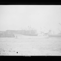 Weißes Frachtschiff fährt auf ruhigem Wasser vor nebligem Industriehafen mit Hafenkränen; links unten sichtbar das Logo und der Schriftzug des Internationalen Maritimen Museums Hamburg.