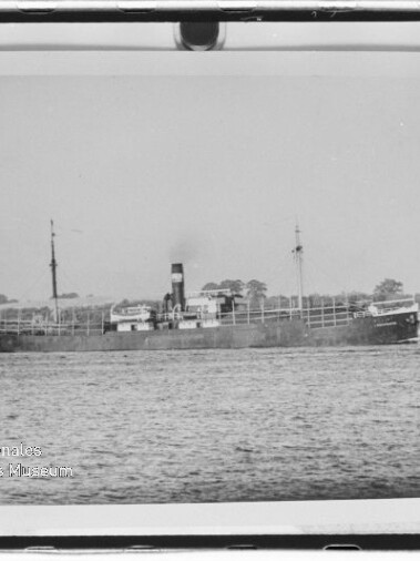 Schwarzweiß-Foto eines langen Frachtdampfers mit mittigem Schornstein, zwei Masten und leichter Rauchfahne, auf ruhigem Wasser vor einem flachen Ufer mit Bäumen; Museumswasserzeichen unten links.