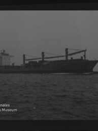 Schwarzweißaufnahme eines Frachtschiffs mit drei Ladekränen und achterlichem Aufbauteil, das bei ruhiger See unter bedecktem Himmel auf dem Meer fährt; unten links sichtbares Logo des Internationalen Maritimen Museums Hamburg.