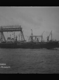 Schwarzweißaufnahme eines Frachtschiffs, das im Hafen vor einem großen Portalkran und mehreren Ladekränen liegt, mit Wasser im Vordergrund und dem Logo ‚Internationales Maritimes Museum Hamburg‘ unten links.