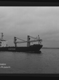 Frachtschiff CONTIMAR mit zwei Ladekränen fährt bei ruhigem Meer unter bewölktem Himmel vor einer niedrigen Küstenlinie; Museumswasserzeichen unten links.