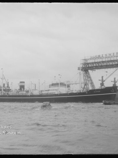 Schwarzweißaufnahme eines großen Frachtschiffs im Hafen vor einer Werft mit massivem Portalkran und mehreren Kränen, begleitet von kleineren Begleitbooten auf dem Wasser.