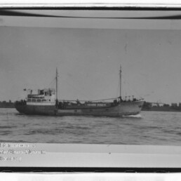 Schwarzweiß-Fotoprint eines mittleren Frachtschiffs mit zwei Masten und aufgesetztem Brückengebäude, das mit sichtbarer Bugwelle auf ruhigem Wasser vor einer flachen Küstenlinie fährt; Bild mit weißem Rand und Wasserzeichen des Internationalen Maritimen Museums Hamburg.