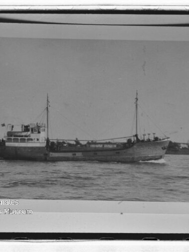 Schwarzweiß-Fotoprint eines mittleren Frachtschiffs mit zwei Masten und aufgesetztem Brückengebäude, das mit sichtbarer Bugwelle auf ruhigem Wasser vor einer flachen Küstenlinie fährt; Bild mit weißem Rand und Wasserzeichen des Internationalen Maritimen Museums Hamburg.