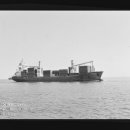 Containerfrachter mit aufgestapelten Ladecontainern und Bordkränen fährt in ruhiger See vor flachem Horizont; ein Vogel fliegt rechts am Himmel, unten links sichtbares Wasserzeichen des Internationalen Maritimen Museums Hamburg.