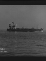 Schwarzweißaufnahme eines mittig platzierten Frachtschiffs/Tankers, das parallel zur Bildachse in ruhiger See fährt; im Vordergrund wellige Wasseroberfläche, weiter oben klare Horizontlinie, sichtbarer Filmrand und Museumswasserzeichen links unten.