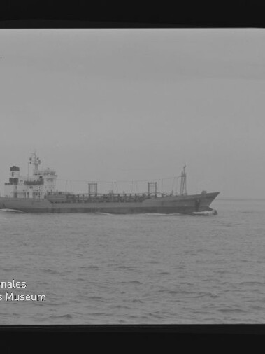 Schwarzweiß-Foto eines Frachtschiffs in Seitenansicht auf ruhiger See, mit Aufbau und Masten, Filmbandrahmen und Wasserzeichen des Internationalen Maritimen Museums Hamburg links unten.