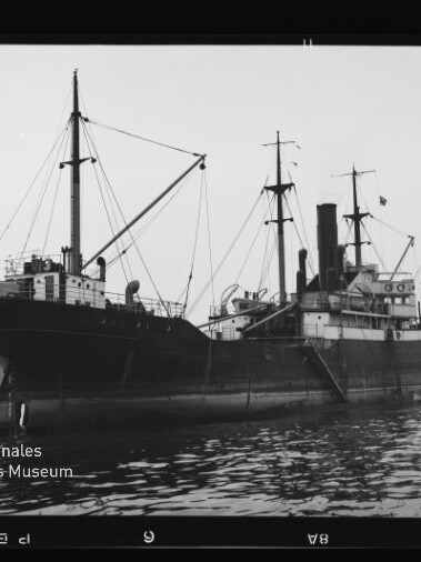 Schwarzweißfoto eines historischen Frachtdampfers mit Schornstein, mehreren Masten und Ladegeschirren, im Hafen vor ruhigem Wasser mit Spiegelung; unten links das Wasserzeichen 