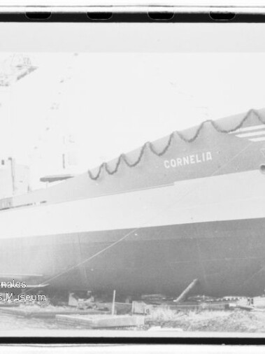 Großes Frachtschiff mit dem Namen CORNELIA im Trockendock, Bug mit Girlanden geschmückt, sichtbarer Rumpf und im Hintergrund Werftkran und Gerüste.