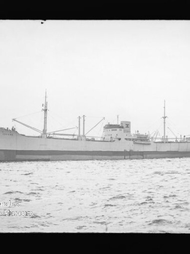 Schwarzweißaufnahme eines großen Frachtschiffs seitlich im Hafen, mit Ladekränen und Aufbauten, Wasser im Vordergrund und kleinem Schlepper am Heck; Wasserzeichen des Internationalen Maritimen Museums Hamburg links unten.