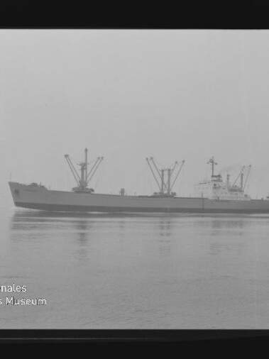 Graustufige Aufnahme eines Frachtschiffs mit mehreren Ladekränen, ruhig auf spiegelnder, diesiger See; links unten Wasserzeichen des Internationalen Maritimen Museums Hamburg und sichtbarer schwarzer Negativrand.