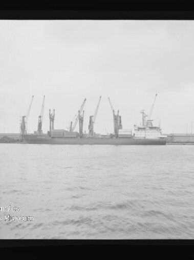 Blick über ruhiges Wasser auf ein angelegtes Frachtschiff am Kai vor einer Reihe hoher Hafenkräne unter bedecktem Himmel, mit Museumswasserzeichen unten links.