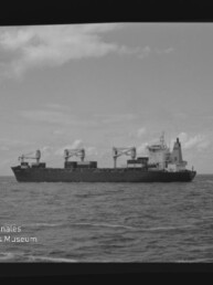 Schwarzweißaufnahme eines seitlich fotografierten Frachtschiffs mit mehreren Ladekränen auf offener See unter leicht bewölktem Himmel; links unten das Wasserzeichen des Internationalen Maritimen Museums Hamburg.