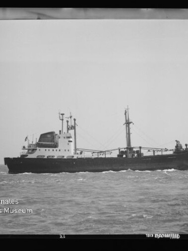 Schwarzweiß-Foto eines Frachtschiffs in Profil auf ruhiger See mit mittigem Aufbauten, zwei Masten und Ladegeschirr; unten links das Wasserzeichen Internationales Maritimes Museum Hamburg.