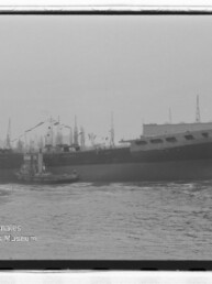Schwarzweißaufnahme eines großen Frachtschiffs, das auf dem Wasser längsseits von einem Schlepper begleitet wird; im Hintergrund sind Hafenkräne und Lagerhallen zu sehen, unten links das Logo des Internationalen Maritimen Museums Hamburg.
