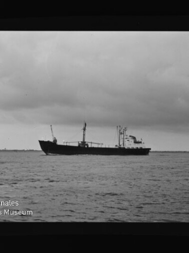 Schwarzweiß-Foto eines Frachtschiffs in Seitenansicht auf ruhiger See unter wolkenverhangenem Himmel, mit Filmrand und Wasserzeichen ‚Internationales Maritimes Museum Hamburg‘ links unten.