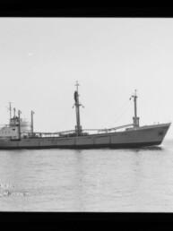 Schwarzweiß-Foto eines Frachtschiffs in Seitenansicht auf ruhiger See, mit zwei hohen Ladebäumen/Masten, Aufbauten am Heck und einem Museumswasserzeichen unten links.