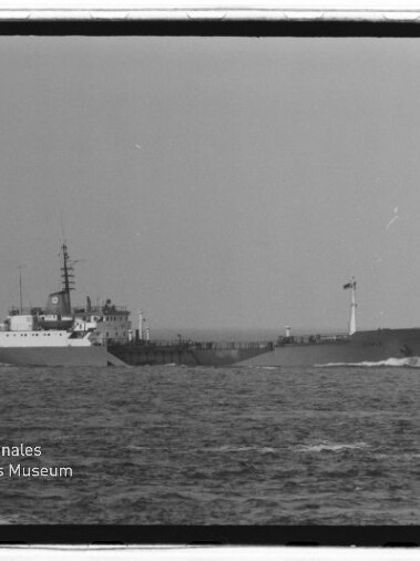 Schwarzweißaufnahme eines Frachtschiffs auf ruhiger See mit niedrigem Deckaufbau, hohem Funkmast und Flagge; unten links sichtbar das Wasserzeichen 'Internationales Maritimes Museum Hamburg'.