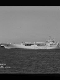 Schwarzweiß-Aufnahme eines großen Frachtschiffs mit der Aufschrift „COOL CARRIERS“, seitlich im Hafen vor einer Uferlinie mit Gebäuden und Bäumen und ruhiger Wasserfläche.