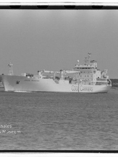 Schwarzweiß-Foto eines großen Kühlschiffs mit der Aufschrift „COOL CARRIERS“, das ruhig auf dem Wasser vor einer flachen Baumküste fährt; sichtbare Filmränder und Museumswasserzeichen im Bild.