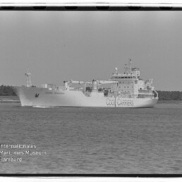 Schwarzweißfoto eines großen Kühlfrachtschiffs mit dem Schriftzug „Cool Carriers“ an der Bordwand, das auf ruhigem Wasser vor einer baumbestandenen Küste fährt; umrahmt wie ein Filmnegativ und mit dem Logo des Internationalen Maritimen Museums Hamburg unten links.