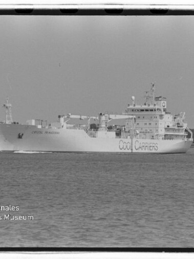 Schwarzweißfoto eines großen Kühlfrachtschiffs mit dem Schriftzug „Cool Carriers“ an der Bordwand, das auf ruhigem Wasser vor einer baumbestandenen Küste fährt; umrahmt wie ein Filmnegativ und mit dem Logo des Internationalen Maritimen Museums Hamburg unten links.